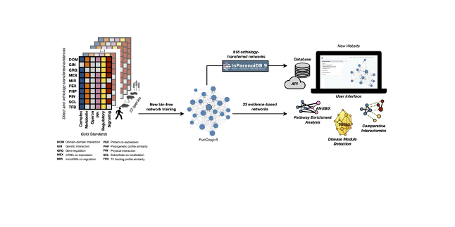 FunCoup 6: Large-scale functional association networks with regulatory links and integrated tools