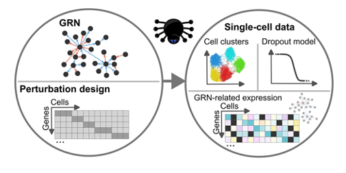  Large-scale Gene Regulatory Network (GRN) simulation and benchmarking using perturbation-aware single-cell data