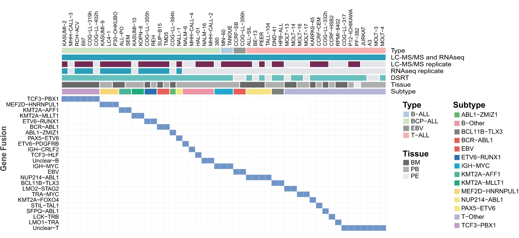 New tool explores multi-omic analyses of childhood ALL cancer to identify putative drug candidates