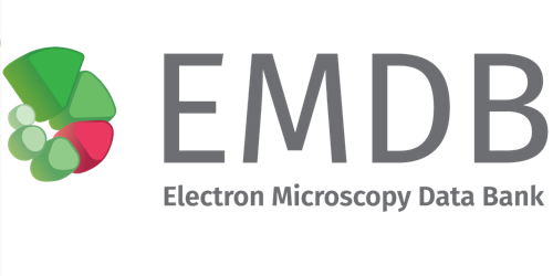 Electron Microscopy Data Bank
